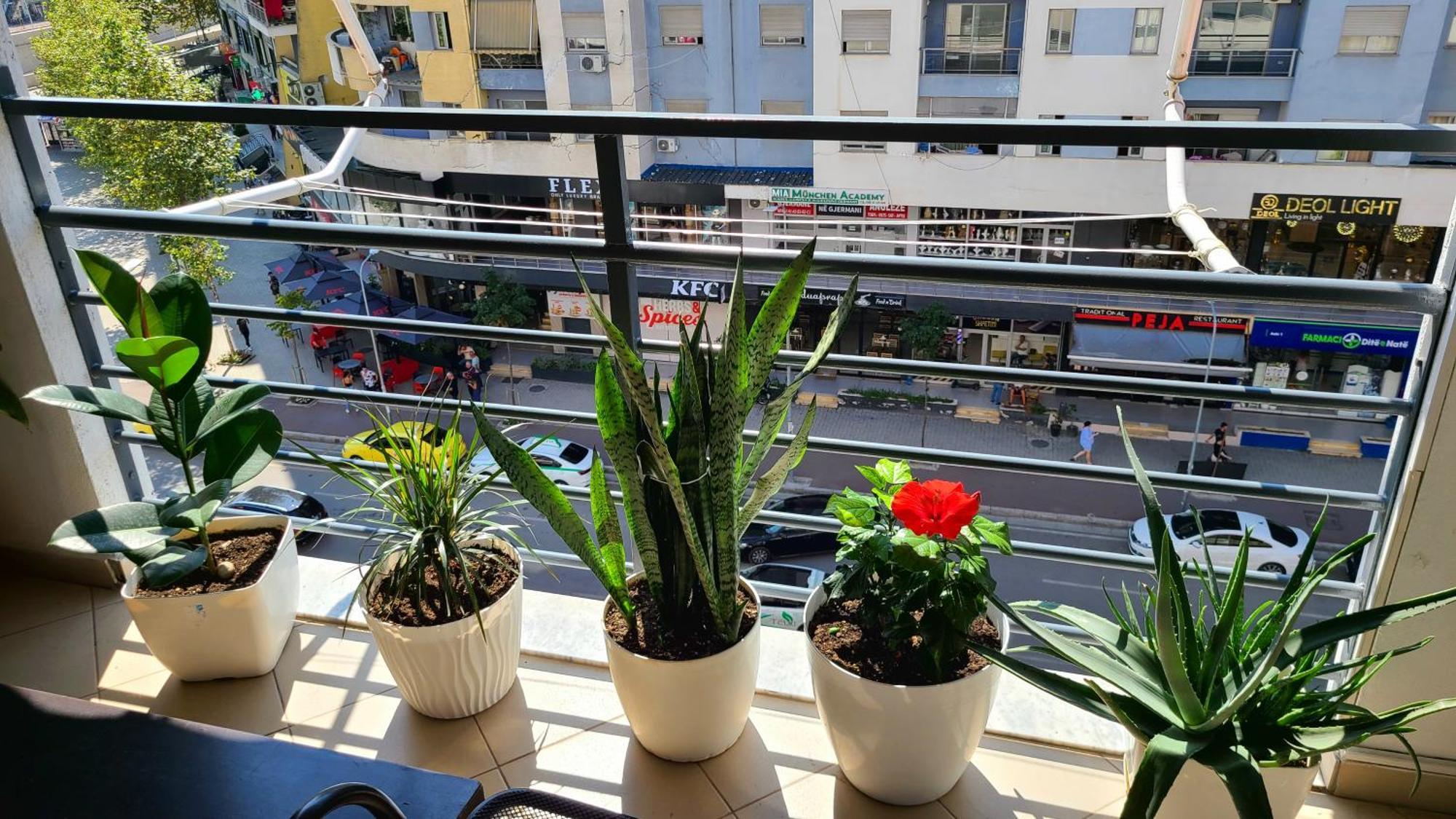Marinela Apartment 티라나 외부 사진